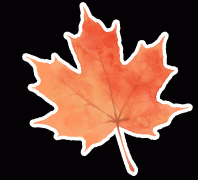 做为2025上海城市术季宝山展区